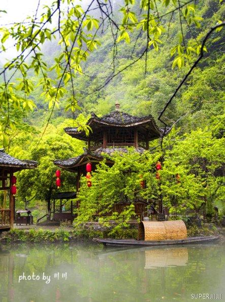 植物大战僵尸6
